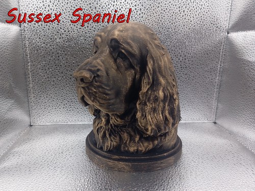 Sussex spaniel bust - sussex,