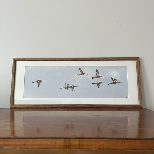 Original watercolour godwits - original,