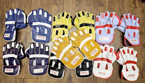 Plus cricket wicket - cricket, keeper