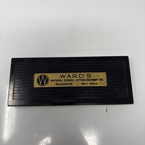Vintage ward natural science - natural,