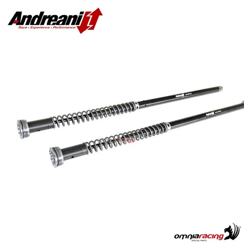 Andreani misano cartridges - misano,