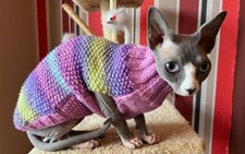 12" Hand Knitted Sphynx