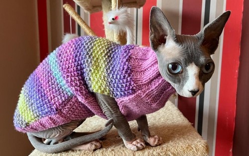 Hand knitted sphynx - knitted,