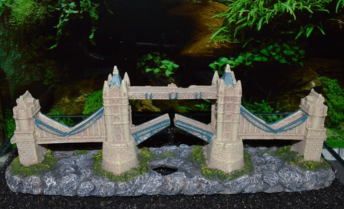 London tower bridge - london, aquarium