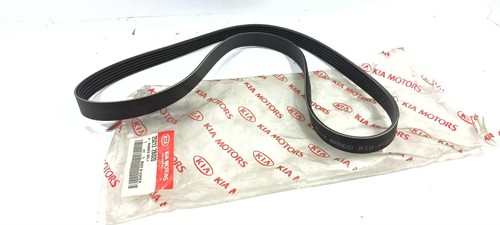 Original service belt fits kia - fits,