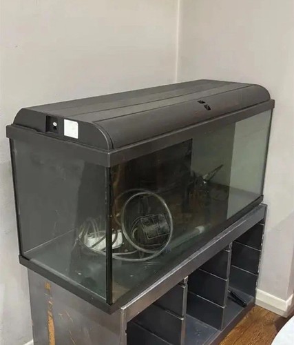 Large aquarium fish tank - large,