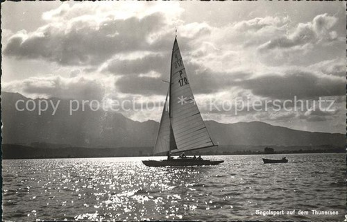 Sailboats sailing lake thun - sailing,