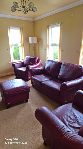 Burgundy leather piece - leather, 3