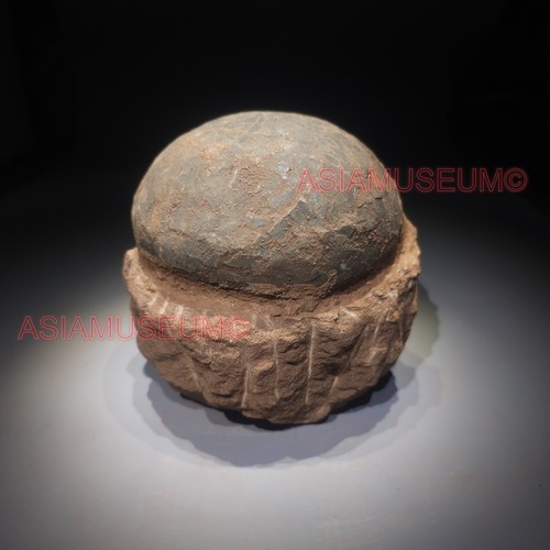 Dinosaur egg nest dendrolithus - nest,