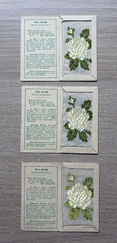Kensitas wix flowers - 3,
