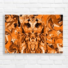 Vibrant Owl Abstract Orange