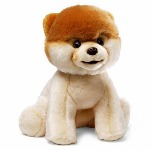 Boo the worlds - worlds, cutest