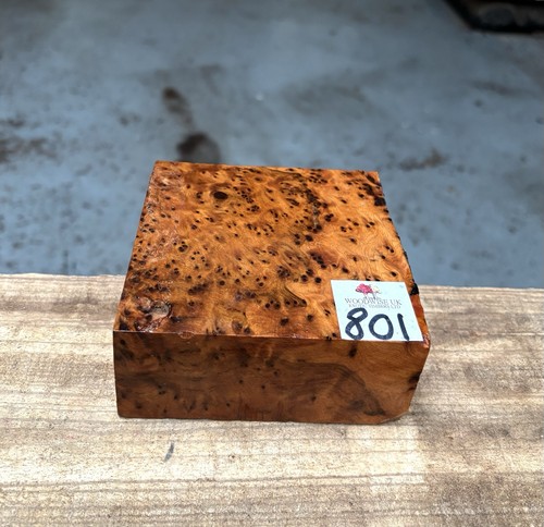 Thuya burr 4 - x, 2”