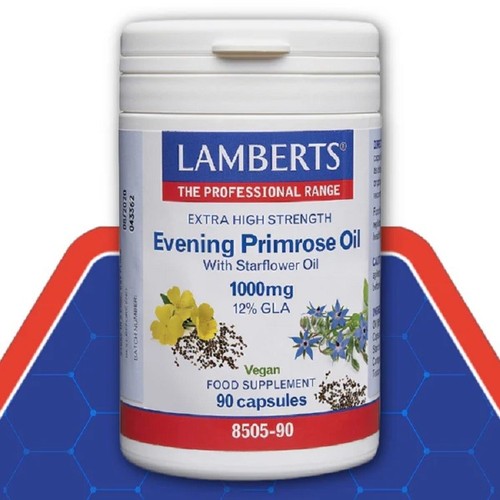 Lamberts evening primrose - evening,
