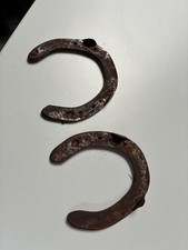 Vintage Old, Rusty Lucky Horse