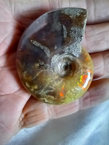 Polished madagascan iridescent - polished,