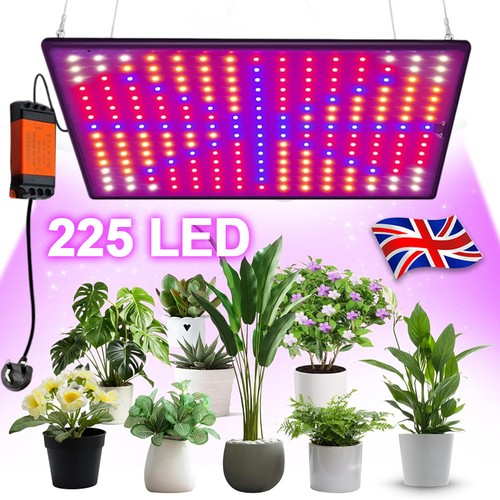 2000w led grow light for - 2000w,
