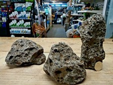 DARK GALAPAGOS LAVA ROCK Ohko