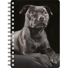 Black Staffordshire Bull