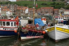 PHOTO  FISHING BOATS WHITBY