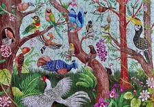 WH Smith Birds of Thailand 500