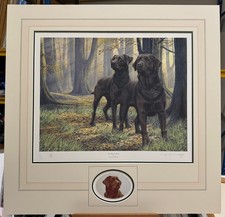 Nigel Hemming - Beech Boys