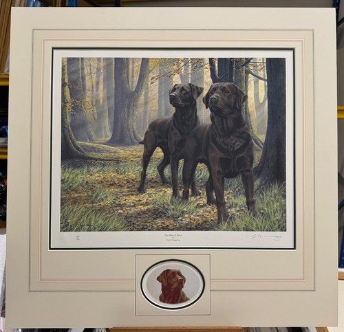 Nigel hemming beech - hemming, boys