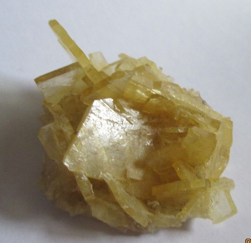 Golden selenite rose cluster - rose,