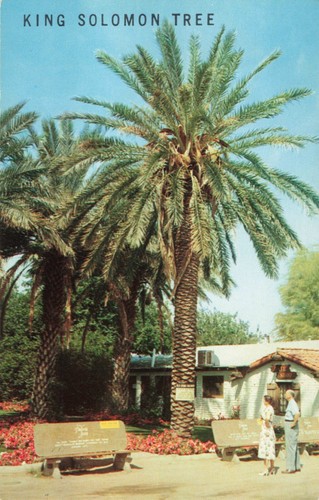 Coachella valley california - coachella,