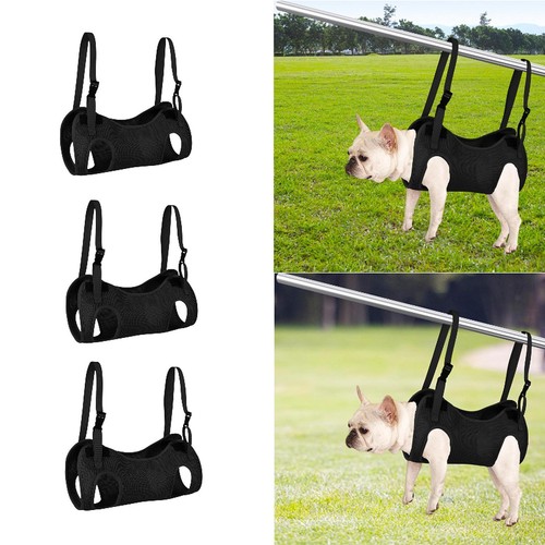 Cat grooming hammock hanger - cat,
