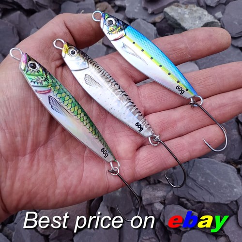 Sea fishing bass - sea,