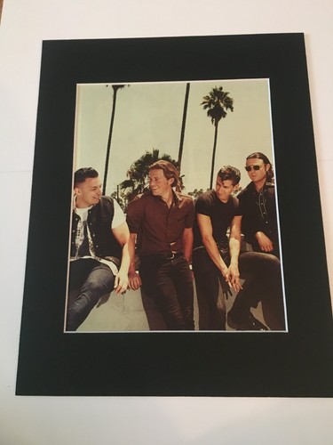 Arctic monkeys mounted - monkeys-mounted, picture