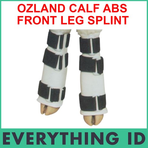 Ozland calf abs front - calf,