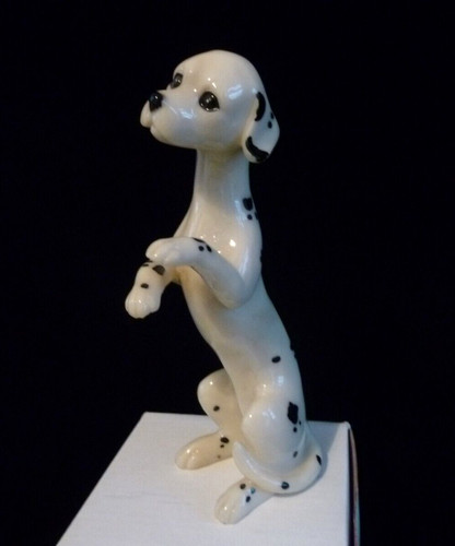 Dalmatian puppy cute begging - begging,
