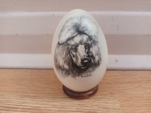 Blown goose egg - egg, derick
