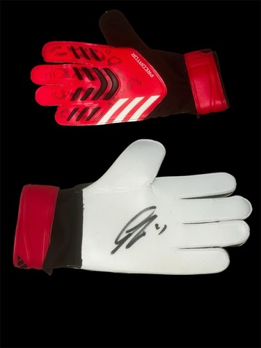 Gianluigi donnarumma signed - gianluigi,