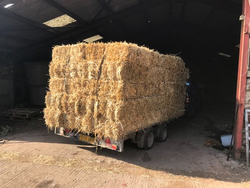 Straw bales small string - bales,