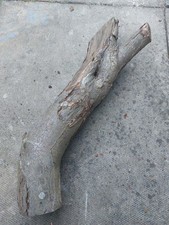 Unseasoned Wild Cherry wood