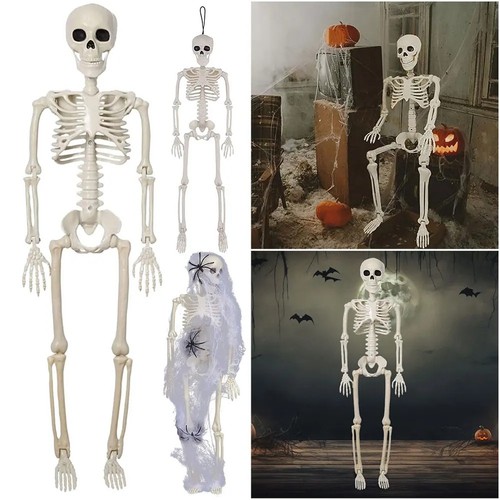 Halloween skeleton decoration - skeleton,
