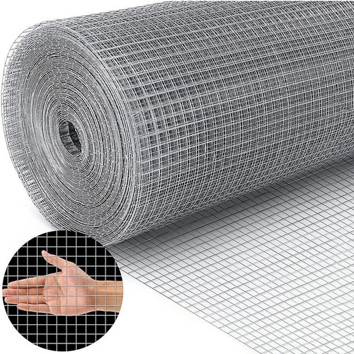 Galvanised chicken wire mesh - chicken,