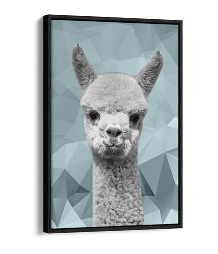 Alpaca duck egg - blue, geo