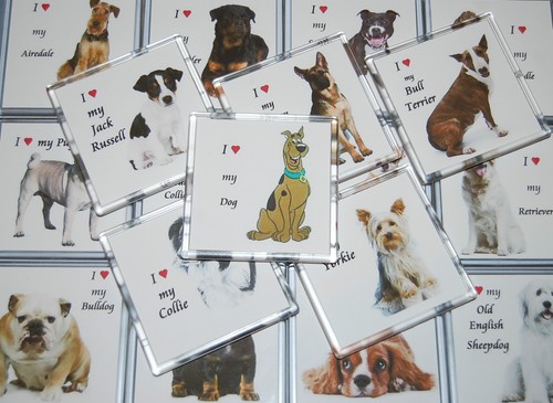 Love dog superb - my,