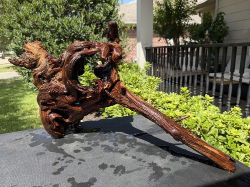 Driftwood mopani aquariums - mopani,