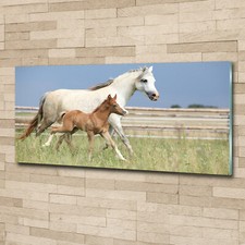 Glass Print Wall Art Image