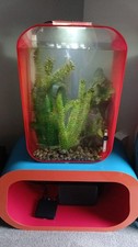 Used Biorb 60L tank and