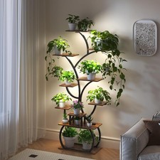 Mental Flower Shelf Plant