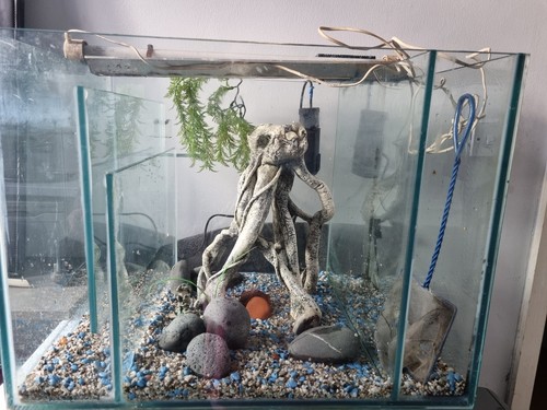 Sump fish tank with pump - sump/fish,