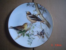 Coalport Collectors Plate THE