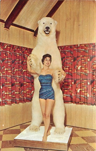 1950s alaska taxidermy polar - 1950s,