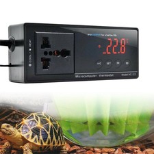 For Lizard Digital Reptile